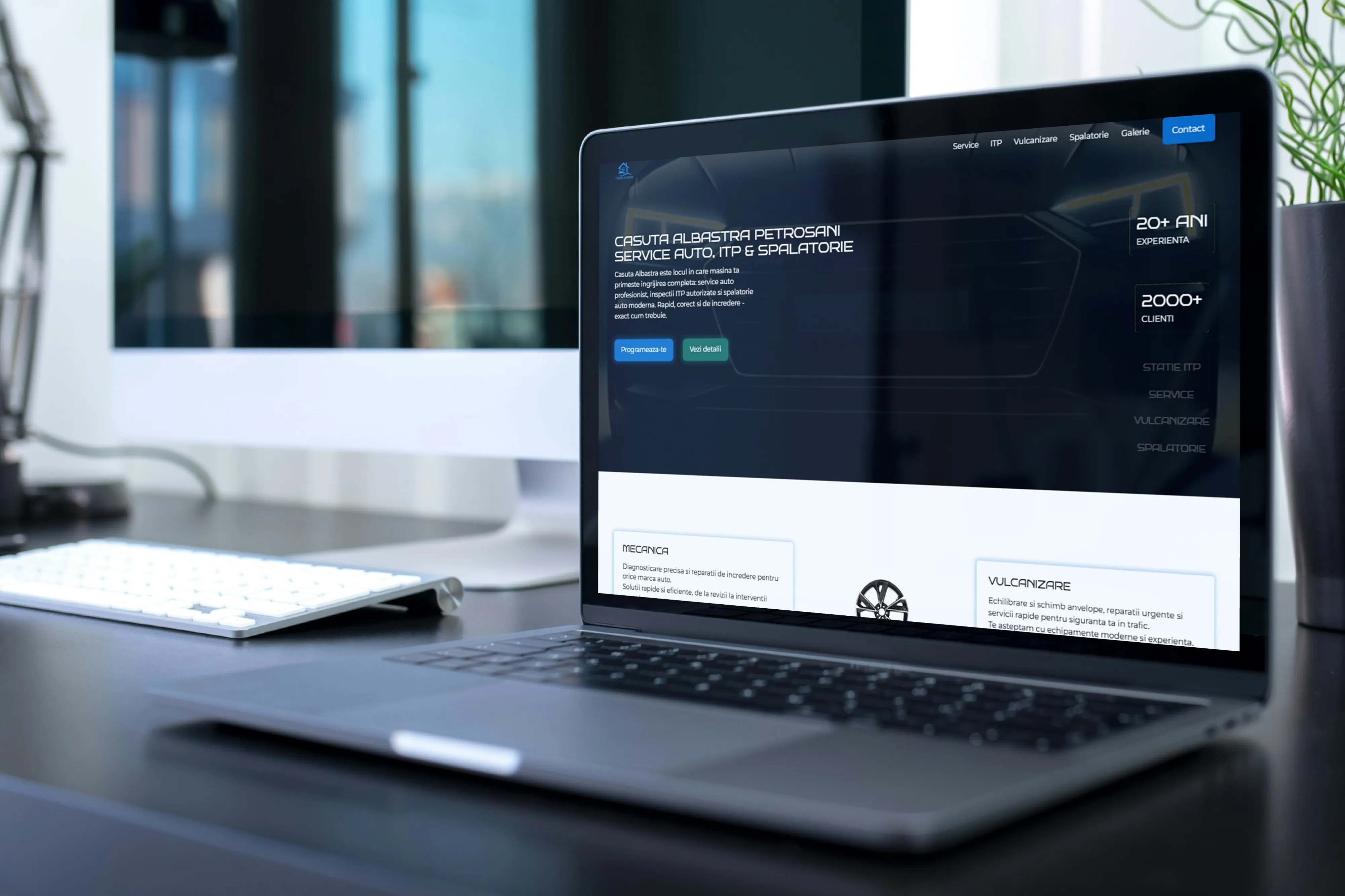 Website Realizate pentru Casuta Albastra